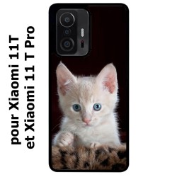 Coque noire pour Xiaomi 11T & 11T Pro Bébé chat tout mignon - chaton yeux bleus