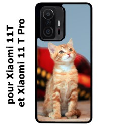 Coque noire pour Xiaomi 11T & 11T Pro Adorable chat - chat robe cannelle