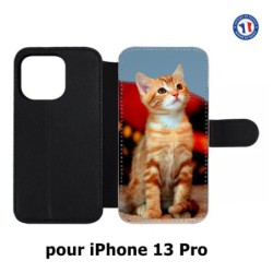 Etui cuir pour iPhone 13 Pro Adorable chat - chat robe cannelle