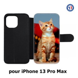 Etui cuir pour Iphone 13 PRO MAX Adorable chat - chat robe cannelle