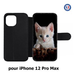 Etui cuir pour Iphone 12 PRO MAX Bébé chat tout mignon - chaton yeux bleus