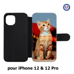 Etui cuir pour Iphone 12 et 12 PRO Adorable chat - chat robe cannelle