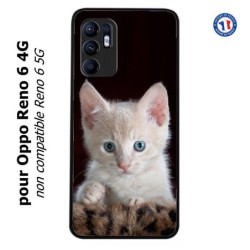 Coque pour Oppo Reno 6 4G Bébé chat tout mignon - chaton yeux bleus