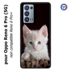 Coque pour Oppo Reno 6 Pro (5G) Bébé chat tout mignon - chaton yeux bleus