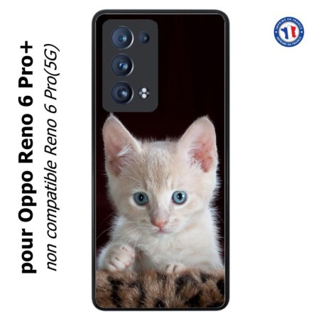 Coque pour Oppo Reno 6 Pro+ Bébé chat tout mignon - chaton yeux bleus