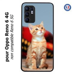 Coque pour Oppo Reno 6 4G Adorable chat - chat robe cannelle