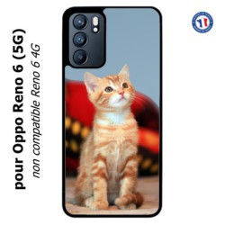 Coque pour Oppo Reno 6 (5G) Adorable chat - chat robe cannelle