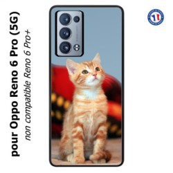 Coque pour Oppo Reno 6 Pro (5G) Adorable chat - chat robe cannelle
