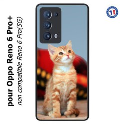 Coque pour Oppo Reno 6 Pro+ Adorable chat - chat robe cannelle
