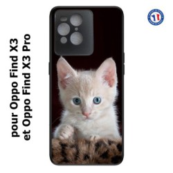 Coque pour Oppo Find X3 et Find X3 Pro Bébé chat tout mignon - chaton yeux bleus