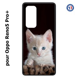 Coque pour Oppo Reno5 Pro+ Bébé chat tout mignon - chaton yeux bleus