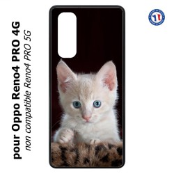 Coque pour Oppo Reno4 PRO 4G Bébé chat tout mignon - chaton yeux bleus