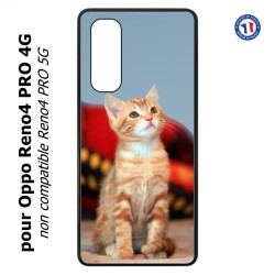 Coque pour Oppo Reno4 PRO 4G Adorable chat - chat robe cannelle