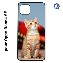 Coque pour Oppo Reno4 SE Adorable chat - chat robe cannelle
