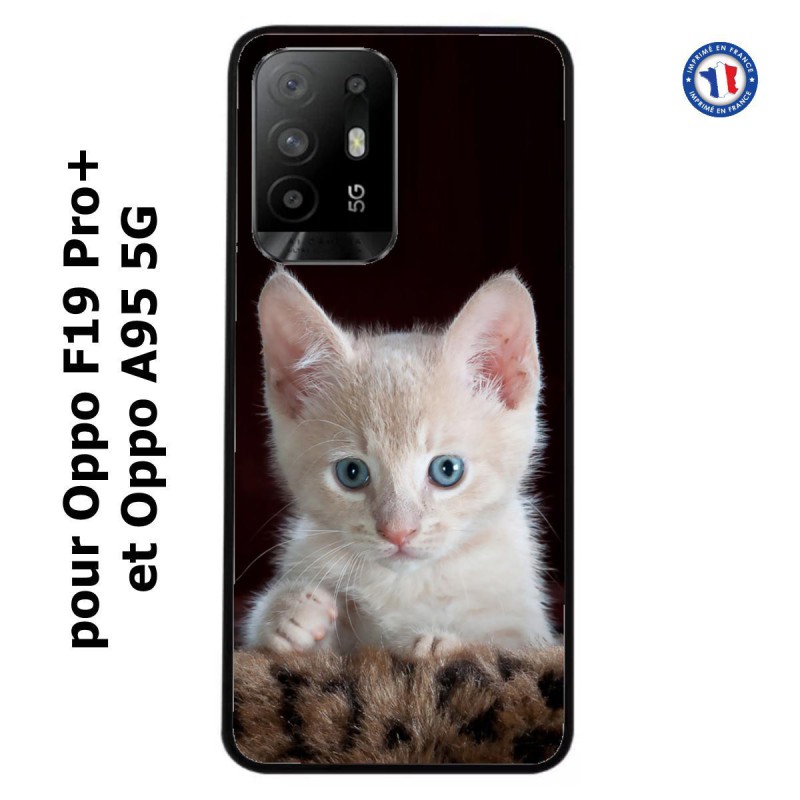 Coque pour Oppo F19 Pro+ Bébé chat tout mignon - chaton yeux bleus