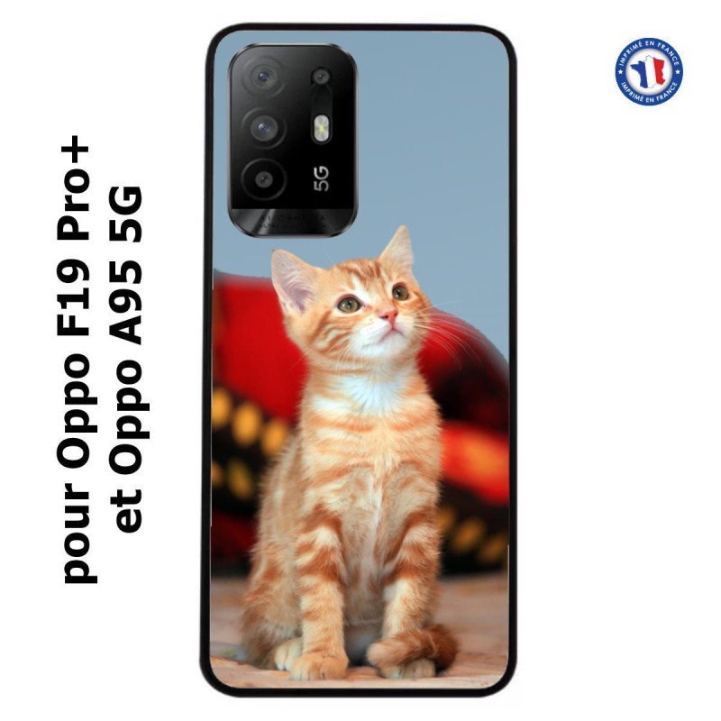 Coque pour Oppo F19 Pro+ Adorable chat - chat robe cannelle