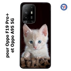 Coque pour Oppo A95 5G Bébé chat tout mignon - chaton yeux bleus