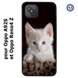 Coque pour Oppo A92S Bébé chat tout mignon - chaton yeux bleus