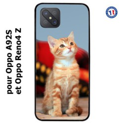 Coque pour Oppo Reno4 Z Adorable chat - chat robe cannelle
