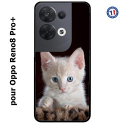 Coque pour Oppo Reno8 Pro PLUS Bébé chat tout mignon - chaton yeux bleus