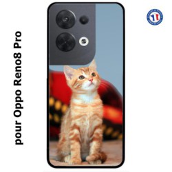 Coque pour Oppo Reno8 Pro Adorable chat - chat robe cannelle