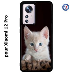 Coque pour Xiaomi 12 Pro Bébé chat tout mignon - chaton yeux bleus