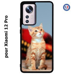 Coque pour Xiaomi 12 Pro Adorable chat - chat robe cannelle