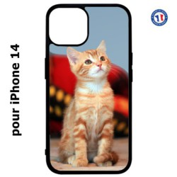 Coque pour iPhone 14 Adorable chat - chat robe cannelle