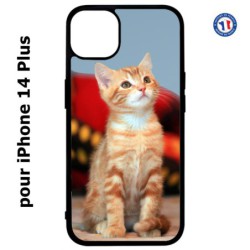 Coque pour iPhone 14 PLUS Adorable chat - chat robe cannelle