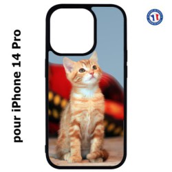 Coque pour iPhone 14 Pro Adorable chat - chat robe cannelle