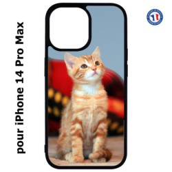 Coque pour iPhone 14 Pro MAX Adorable chat - chat robe cannelle