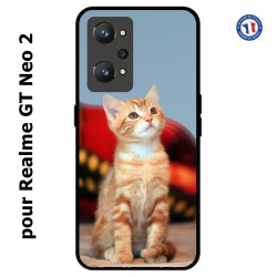 Coque pour Realme GT Neo 2 Adorable chat - chat robe cannelle