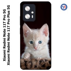 Coque pour Xiaomi Redmi Note 11T PRO / 11T PRO PLUS Bébé chat tout mignon - chaton yeux bleus