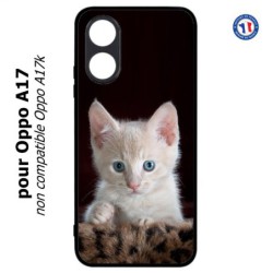 Coque pour Oppo A17 - Bébé chat tout mignon - chaton yeux bleus