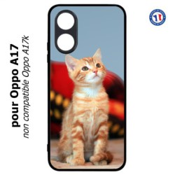 Coque pour Oppo A17 - Adorable chat - chat robe cannelle