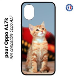 Coque pour Oppo A17k - Adorable chat - chat robe cannelle