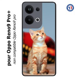 Coque pour Oppo Reno9 Pro PLUS Adorable chat - chat robe cannelle