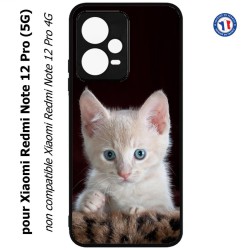 Coque pour Xiaomi Redmi Note 12 Pro (5G) - Bébé chat tout mignon - chaton yeux bleus