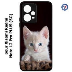 Coque pour Xiaomi Redmi Note 12 Pro PLUS (5G) - Bébé chat tout mignon - chaton yeux bleus