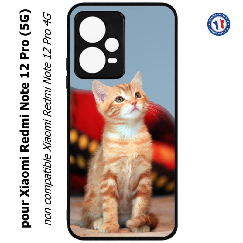 Coque pour Xiaomi Redmi Note 12 Pro (5G) - Adorable chat - chat robe cannelle