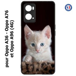 Coque pour Oppo A36 / A76 / A96 (4G) -  Bébé chat tout mignon - chaton yeux bleus