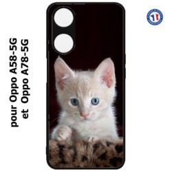 Coque pour Oppo A58-5G / Oppo A78-5G -  Bébé chat tout mignon - chaton yeux bleus