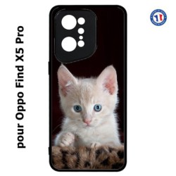 Coque pour Oppo Find X5 PRO Bébé chat tout mignon - chaton yeux bleus