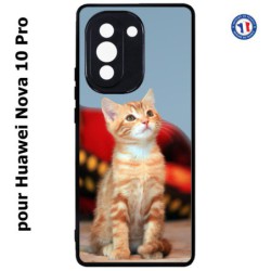 Coque pour Huawei Nova 10 Pro Adorable chat - chat robe cannelle