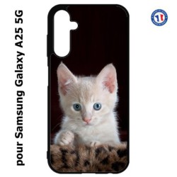 Coque pour Samsung A25 5G - Bébé chat tout mignon - chaton yeux bleus