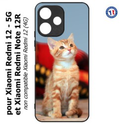 Coque pour Xiaomi Redmi Note 12R - Adorable chat - chat robe cannelle