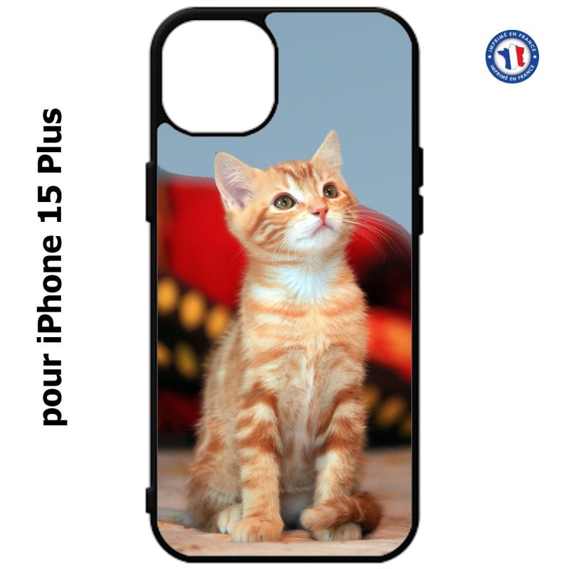 Coque pour iPhone 15 Plus - Adorable chat - chat robe cannelle