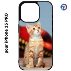 Coque pour iPhone 15 Pro - Adorable chat - chat robe cannelle