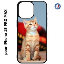 Coque pour iPhone 15 Pro Max - Adorable chat - chat robe cannelle