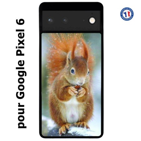Coque pour Google Pixel 6 écureuil